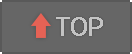 TOP����